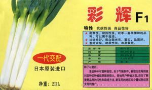 彩辉F1——大葱种子