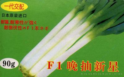 晚抽新星F1——大葱种子
