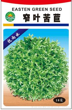 窄叶苦苣