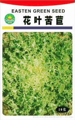 花叶苦苣