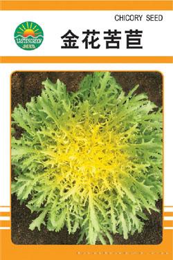 金花苦苣