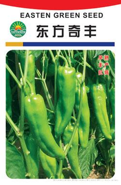 东方奇丰
