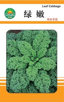 绿嫩（羽衣甘蓝）