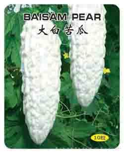 大白苦瓜