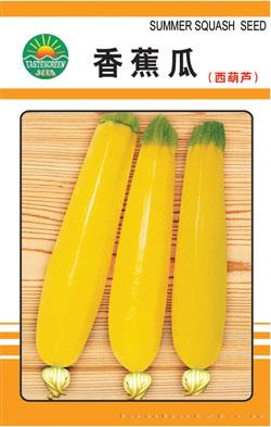 香蕉瓜（西葫芦）