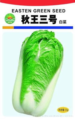 秋王三号