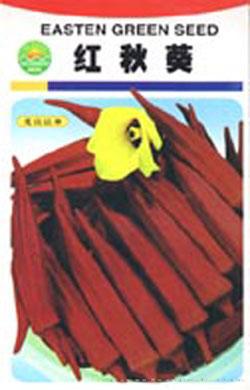 红秋葵