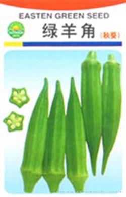 绿羊角（秋葵）