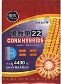 懒汉王玉米种子-鲁原单22