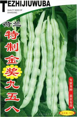 荷兰-特制金奖九五八——架豆种子