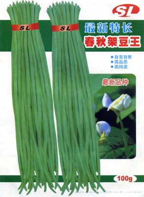 春秋架豆王——架豆种子