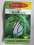 松の崎花椰菜70天——花椰菜种子