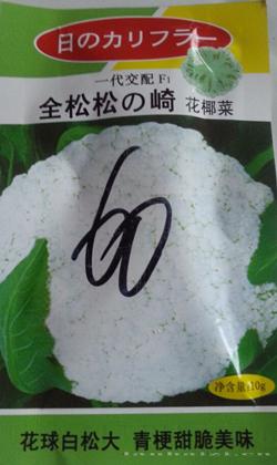 全松松の崎花椰菜60天——花椰菜种子