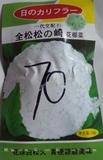 全松松の崎花椰菜70天——花椰菜种子