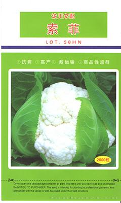 索菲——花椰菜种子