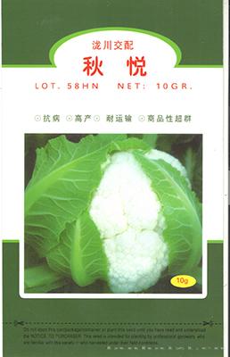 秋悦——花椰菜种子