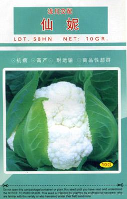 仙妮——花椰菜种子