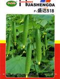 盛达518——黄瓜种子
