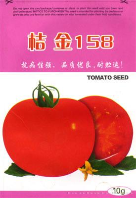 桔金158——番茄种子