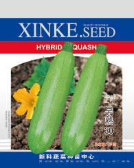 供应正宗早熟30—西葫芦种子