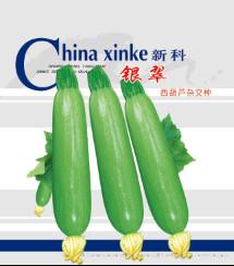 供应银翠—西葫芦种子