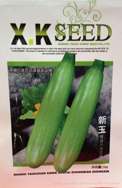 供应新玉—西葫芦种子