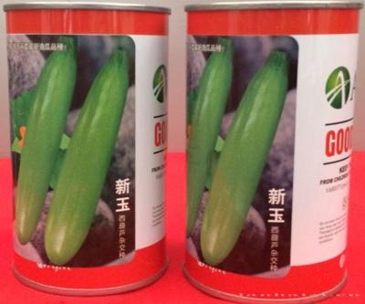 供应新玉—西葫芦种子