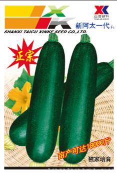 供应新阿太一代—西葫芦种子