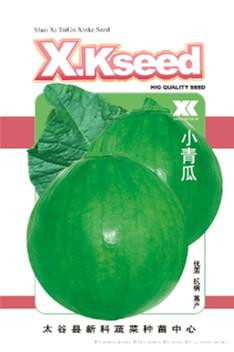 供应小青瓜—西葫芦种子