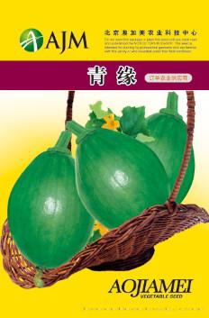 供应青缘—西葫芦种子