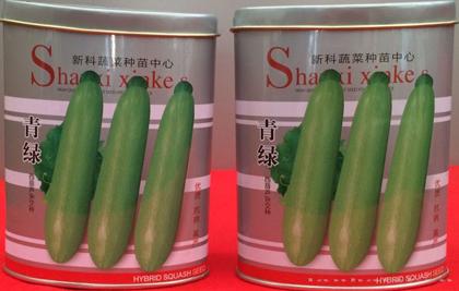 供应青绿—西葫芦种子