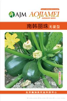 供应南韩丽珠—西葫芦种子