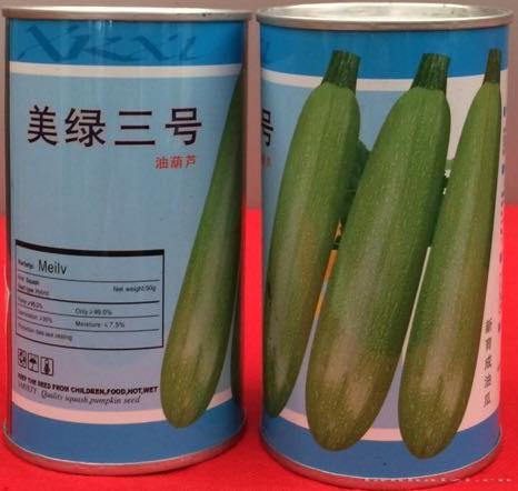 供应美绿三号—西葫芦种子