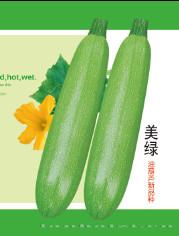 供应美绿—西葫芦种子