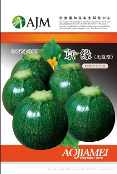 供应京缘—西葫芦种子