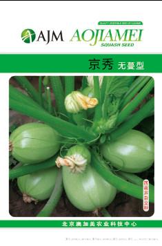 供应京秀—西葫芦种子