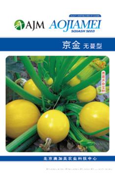 供应京金—西葫芦种子