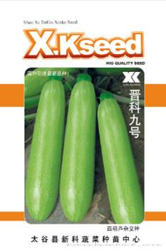 供应晋科九号—西葫芦种子