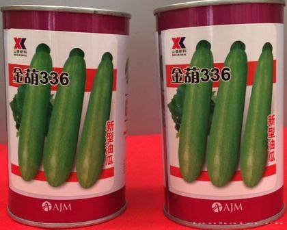 供应金葫336—西葫芦种子