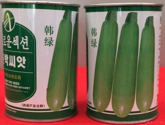 供应韩绿—西葫芦种子
