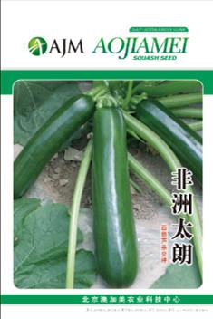 供应非洲太朗—西葫芦种子