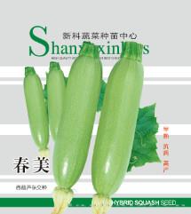供应春美—西葫芦种子