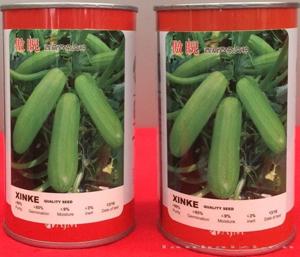 供应傲睨—西葫芦种子