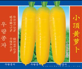 供应小顶黄萝卜—胡萝卜种子