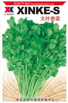 供应大叶香菜—香菜种子