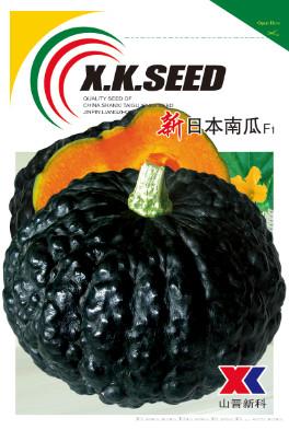 供应新日本南瓜—南瓜种子