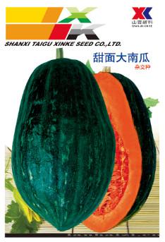 供应甜面大南瓜—南瓜种子