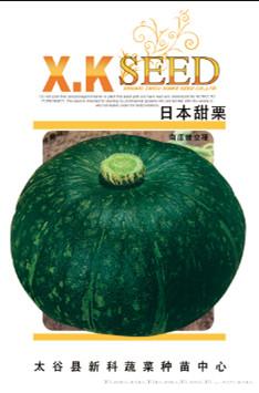 供应日本甜栗—南瓜种子
