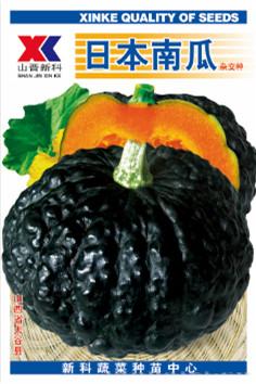 供应日本南瓜—南瓜种子