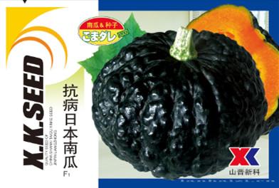 供应抗病日本南瓜—南瓜种子